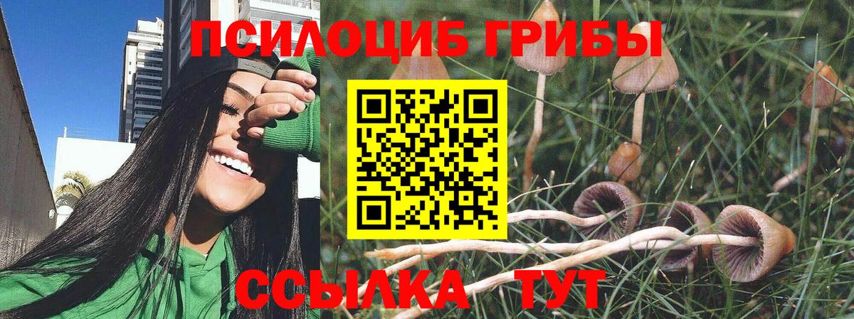 Псилоцибиновые грибы мухоморы Полысаево