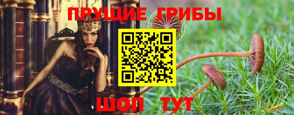 Галлюциногенные грибы GOLDEN TEACHER  Вход с VPN  Полысаево 